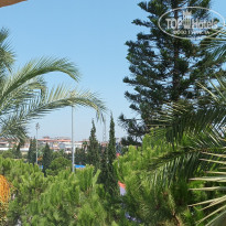 фото из отзыва ID 2378754