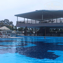 фото из отзыва ID 2378791