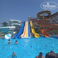 фото из отзыва ID 2378791