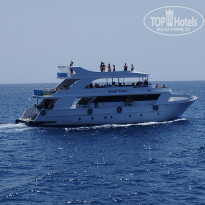 фото из отзыва ID 2378897