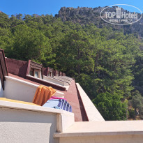 фото из отзыва ID 2378455