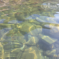 фото из отзыва ID 2378455