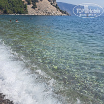 фото из отзыва ID 2378455