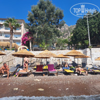 фото из отзыва ID 2378455