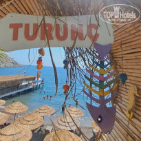 фото из отзыва ID 2378455