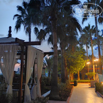 фото из отзыва ID 2379096