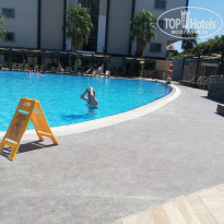 фото из отзыва ID 2379062