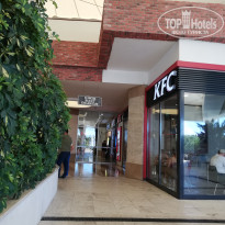 фото из отзыва ID 2379062