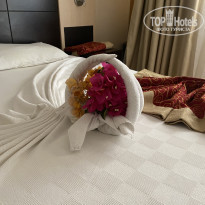 фото из отзыва ID 2379461