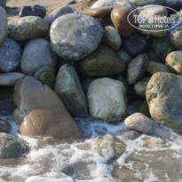 фото из отзыва ID 2379122