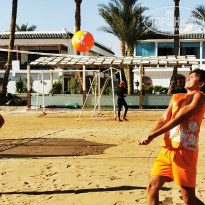 фото из отзыва ID 2379526