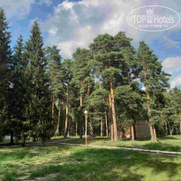 фото из отзыва ID 2379674