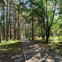 фото из отзыва ID 2379674