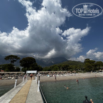 фото из отзыва ID 2379748