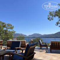 фото из отзыва ID 2379752