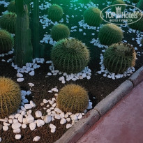 фото из отзыва ID 2379755