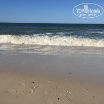 фото из отзыва ID 2379890