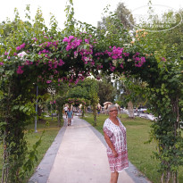 фото из отзыва ID 2379935