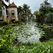 фото из отзыва ID 2379972