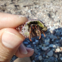 фото из отзыва ID 2379967