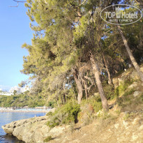 фото из отзыва ID 2379967