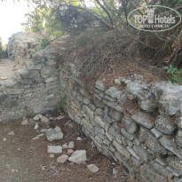 фото из отзыва ID 2379967