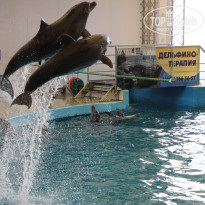 фото из отзыва ID 2379944