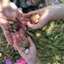 фото из отзыва ID 2379944