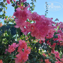 фото из отзыва ID 2377425