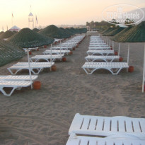 фото из отзыва ID 238290