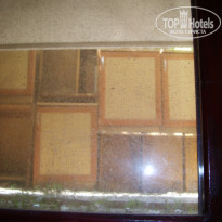 фото из отзыва ID 238431