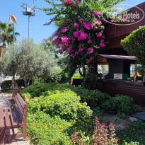 фото из отзыва ID 2380032