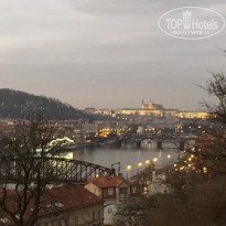 фото из отзыва ID 2380053