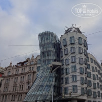 фото из отзыва ID 2380053