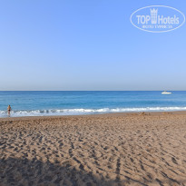 фото из отзыва ID 2380179