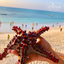 фото из отзыва ID 2380210