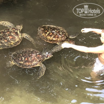 фото из отзыва ID 2380210