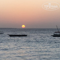 фото из отзыва ID 2380210