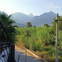 фото из отзыва ID 2380089