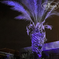 фото из отзыва ID 2380224