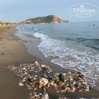 фото из отзыва ID 2380224