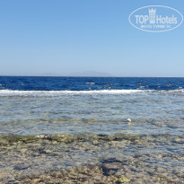 фото из отзыва ID 2380465