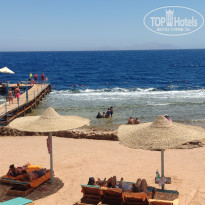 фото из отзыва ID 2380465