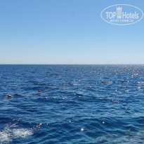 фото из отзыва ID 2380465