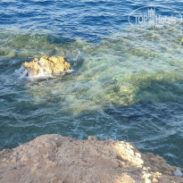 фото из отзыва ID 2380465