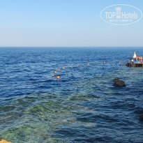 фото из отзыва ID 2380465