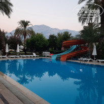 фото из отзыва ID 2380497