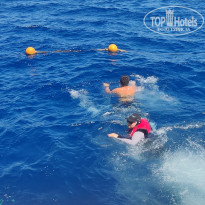 фото из отзыва ID 2380465