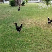 фото из отзыва ID 2380646