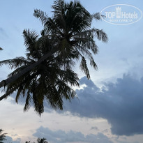 фото из отзыва ID 2380753